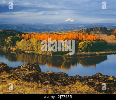 Mt Hood du lac Horsethief, dans le parc national de Columbia Hills, Washington Banque D'Images