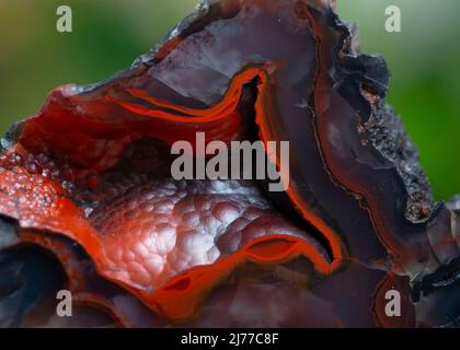 renard rouge agate minéral spécimen pierre roche géologie bijou cristal Banque D'Images