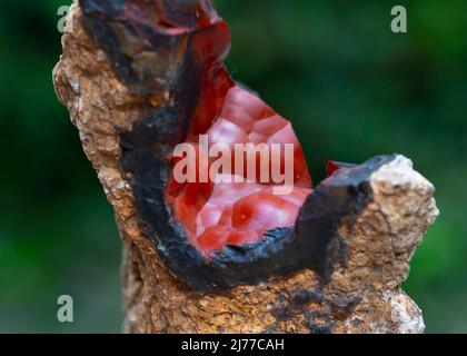 renard rouge agate minéral spécimen pierre roche géologie bijou cristal Banque D'Images