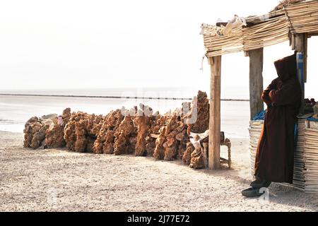 Un vendeur vendant des morceaux de sel dans la mer de sel Chott el Djerid en Tunisie Banque D'Images