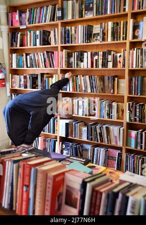 Un client utilise des étagères de livres à vendre dans la célèbre boutique City Lights Booksellers de San Francisco, en Californie. Banque D'Images