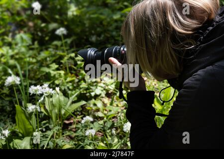 Une femme méconnaissable au pelage noir prend des photos dans un jardin d'ail sauvage. Concentrez-vous sur les cheveux de la femme Banque D'Images