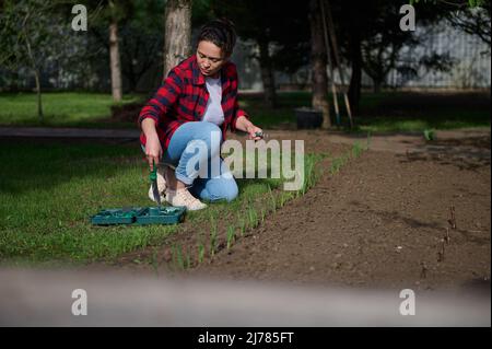 Agréable femme jardinier avec des instruments de jardinage travaillant dans le jardin, fertilisant et en desserrant le sol, plantant des verts dans la terre creusée Banque D'Images