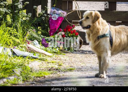 2022-05-07 08:45:28 ALBASSERDAM - un des chiens de la ferme de soins Tro Tardi près des fleurs à l'entrée de la ferme de soins à Alblasserdam où une fusillade fatale a eu lieu vendredi. Une fille de 16 ans de Dordrecht et une femme de 34 ans d'Alblasserdam ont été tuées lors de la fusillade. ANP JEFFREY GREENWEG pays-bas - belgique Banque D'Images