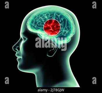 Comment fonctionne le cerveau. Synapses et neurones. Connexions. Prenez soin de votre cerveau, stimuli et idées. Les maladies dégénératives, la maladie de Parkinson et la maladie d'Alzheimer Banque D'Images