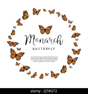 Papillons monarques en forme de cercle. Illustration vectorielle isolée sur fond blanc. Illustration de Vecteur