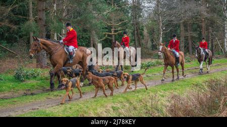 The Cranwell Bloodhounds – en finissant un dimanche après-midi, vous rencontreront les Huntsman, les Whippers et les Masters Banque D'Images