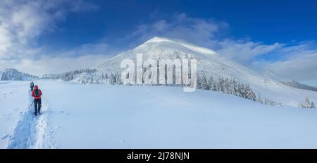 Paysage panoramique d'une forêt enneigée dans les montagnes lors d'une belle journée d'hiver. Les Carpates ukrainiens, près du mont Petros, il y a un groupe de touristes Banque D'Images