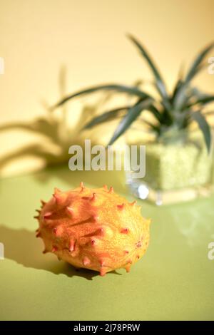 Fruit du dragon, pitahaya, pitaya. Gros plan sur du papier deux couleurs, jaune doré et vert éclatant Banque D'Images