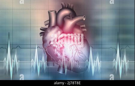 Cardiologie. Concept de coeur sain. Transplantologie des organes internes. Pulsation, moniteur de pouls et illustration 3D du cœur Banque D'Images
