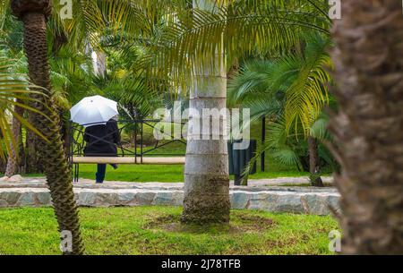 Femme avec parapluie blanc dans un labyrinthe d'un jardin à Torremolinos Banque D'Images