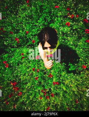 Jeune femme caucasienne cueillez une fleur de pavot et une odeur à l'extérieur. Concept de liberté ressort être dans la nature sain style de vie. Banque D'Images