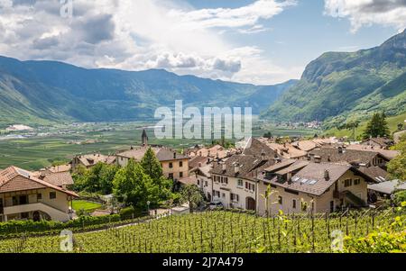 Paysage de Cortaccia (Kurtatsch) dans le Tyrol du Sud, nord de l'Italie: Le village viticole idyllique se trouve sur un plateau ensoleillé de 333 m a.s.l Banque D'Images