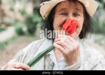 Gros plan d'une femme âgée qui sent de la tulipe fraîchement cueillie du jardin Banque D'Images