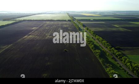 Champs au début du printemps matin d'été de grande hauteur. Vue aérienne de drone Banque D'Images