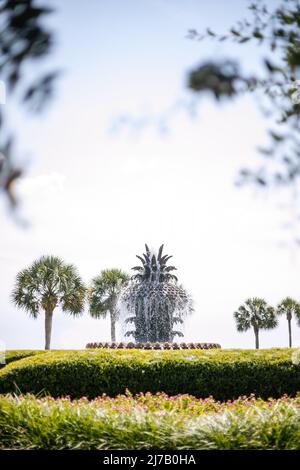 Fontaine d'ananas, Charleston, Caroline du Sud, USA Banque D'Images