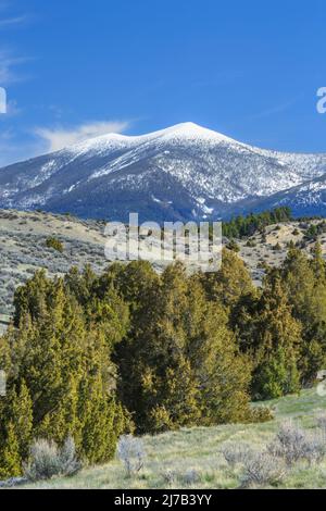 mont baldy dans les grandes montagnes de ceinture qui s'élèvent au-dessus des contreforts de lippert gulch près de townsend, montana Banque D'Images