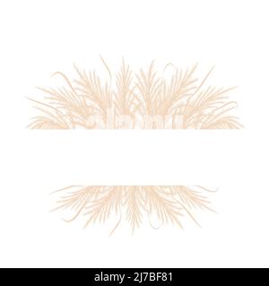 Châssis avec herbe de pampas sèche. Bordure avec cortaderia beige dans le style boho. Fleurs séchées vectorielles isolées sur fond blanc. Design tendance pour Illustration de Vecteur