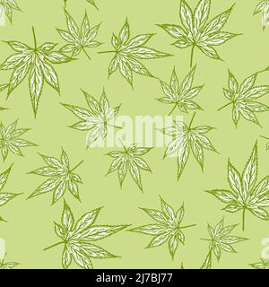 Feuilles érable canada gravé sans couture motif. Fond vintage feuille de cannabis botanique de style dessiné à la main. Texture de conception de couleurs à répétition vectorielle Illustration de Vecteur