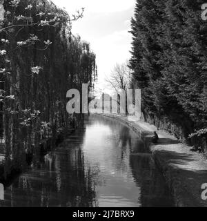 La pêche dans le canal de Trent et Mersey dans Cheshire UK Banque D'Images