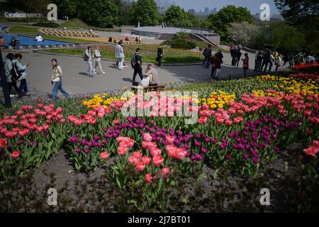 KIEV, UKRAINE - 7 MAI 2022 - les visiteurs regardent des fleurs exposées au cours d'une tulipe traditionnelle au Pôle Spivoche du parc paysager Pecherskyi, Ky Banque D'Images