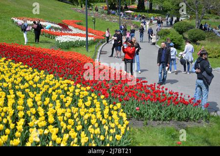 KIEV, UKRAINE - 7 MAI 2022 - les visiteurs regardent des fleurs exposées au cours d'une tulipe traditionnelle au Pôle Spivoche du parc paysager Pecherskyi, Ky Banque D'Images