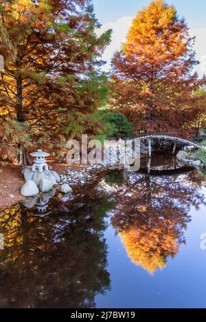 Feuille d'autum et jardin japonais Banque D'Images