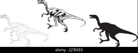 velociraptor, image réaliste de dinosaure, vecteur, positions, illustration, noir et blanc, silhouette, logo, marque, chevron pour la décoration et desi Illustration de Vecteur