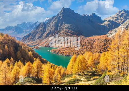 Excellente vue d'automne sur le lac Devero par beau temps. Emplacement place Devero, Italie. Image pittoresque du célèbre monument. Fonds d'écran naturels. Découvrez le Banque D'Images