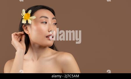 Concept cosmétique. Femme asiatique avec la fleur de jonquille dans les cheveux regardant de côté à l'espace libre sur fond marron, panorama Banque D'Images