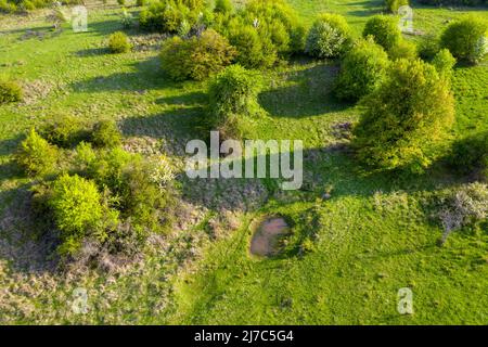 Vue aérienne des pâturages verts avec petits étangs naturels pour les buffles et les animaux de ferme. Transylvanie, Roumanie Banque D'Images
