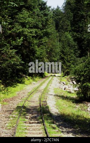 Valea Vaserului Maramures Roumanie 2001 Le Chemin De Fer Voie valea-vaserului-maramures-roumanie-2001-le-chemin-de-fer-voie