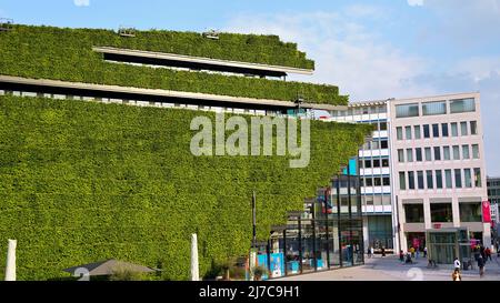 Bâtiment écologique couvert de haies de charme au innovant Hotel-Bogen II d'Ingenhoven Architects dans le centre-ville de Düsseldorf. Banque D'Images