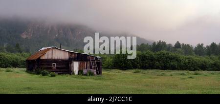 panorama d'une simple maison rurale isolée dans la forêt du matin au pied des collines près de la forêt dans un épais brouillard. Banque D'Images