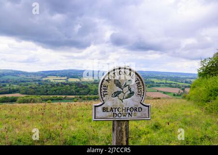 Vue du panneau de nom de National Trust à Blatchford Down sur North Downs Way, Abinger Hammer dans la région de Surrey Hills d'une beauté naturelle exceptionnelle Banque D'Images