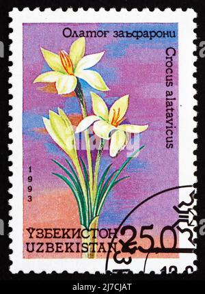 OUZBÉKISTAN - VERS 1993: Un timbre imprimé en Ouzbékistan montre Crocus, Crocus alatavicus, Fleur, vers 1993 Banque D'Images