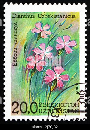 OUZBÉKISTAN - VERS 1993 : un timbre imprimé en Ouzbékistan montre Dianthus, Dianthus Ouzbekistanicus, Fleur, vers 1993 Banque D'Images