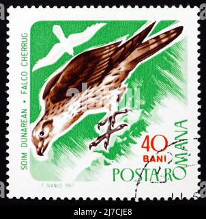 ROUMANIE - VERS 1967 : un timbre imprimé en Roumanie montre le Falcon de Saker, le cherrug de Falco, oiseau de proie, vers 1967 Banque D'Images