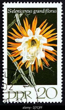 RDA - VERS 1970 : un timbre imprimé en RDA montre Selenicereus Grandiflorus, plantes de cactus florissantes, vers 1970 Banque D'Images