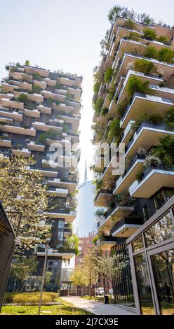 Bosco Verticale (Bois vertical) est un complexe de deux tours résidentielles écologiques couvertes d'arbres à Milan, en Italie. Banque D'Images