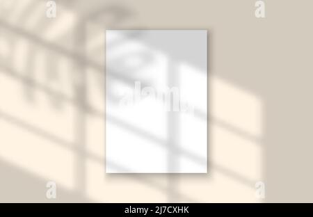 Fenêtre vectorielle réaliste et ombre à feuilles. Effet de superposition pour modèle de maquette. Feuille de papier vide avec ombres. Illustration de Vecteur