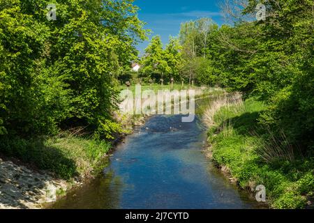 Allemagne, Senden (Westfalen), Muensterland, Westphalie, Rhénanie-du-Nord-Westphalie, NRW, paysage de la crique de Stinever Banque D'Images