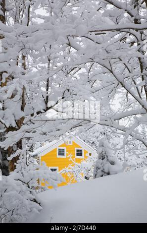 Maison de style chalet à panneaux de bois jaune à carreaux de neige en hiver, Cantons de l'est, Québec, Canada. Banque D'Images