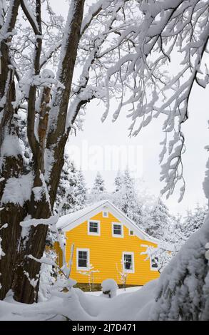 Maison de style chalet à panneaux de bois jaune à carreaux de neige en hiver, Cantons de l'est, Québec, Canada. Banque D'Images