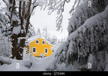 Maison de style chalet à panneaux de bois jaune à carreaux de neige en hiver, Cantons de l'est, Québec, Canada. Banque D'Images