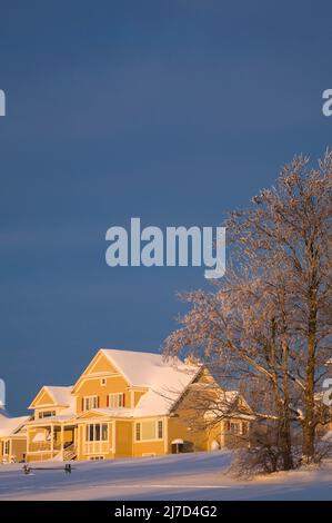 Maisons de style chalet à panneaux de bois jaune et arbres recouverts de gel au lever du soleil en hiver, Cantons de l'est, Québec, Canada. Banque D'Images