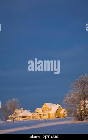 Maisons de style chalet à panneaux de bois jaune et arbres recouverts de gel au lever du soleil en hiver, Cantons de l'est, Québec, Canada. Banque D'Images