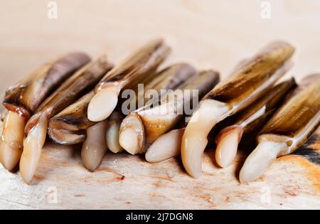 Allongé , coquille de rasoir rectangulaire , bivalve poisson , solen marginatus , Banque D'Images