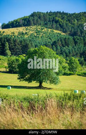 Paysage pyrénéen typique dans la vallée de l'Aure, dans un ciel bleu clair. Vue imprenable sur les montagnes. Banque D'Images