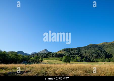 Paysage pyrénéen typique dans la vallée de l'Aure, dans un ciel bleu clair. Vue imprenable sur les montagnes. Format panoramique Banque D'Images